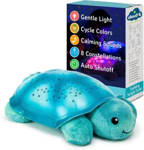 Aqua Tranquil Turtle
