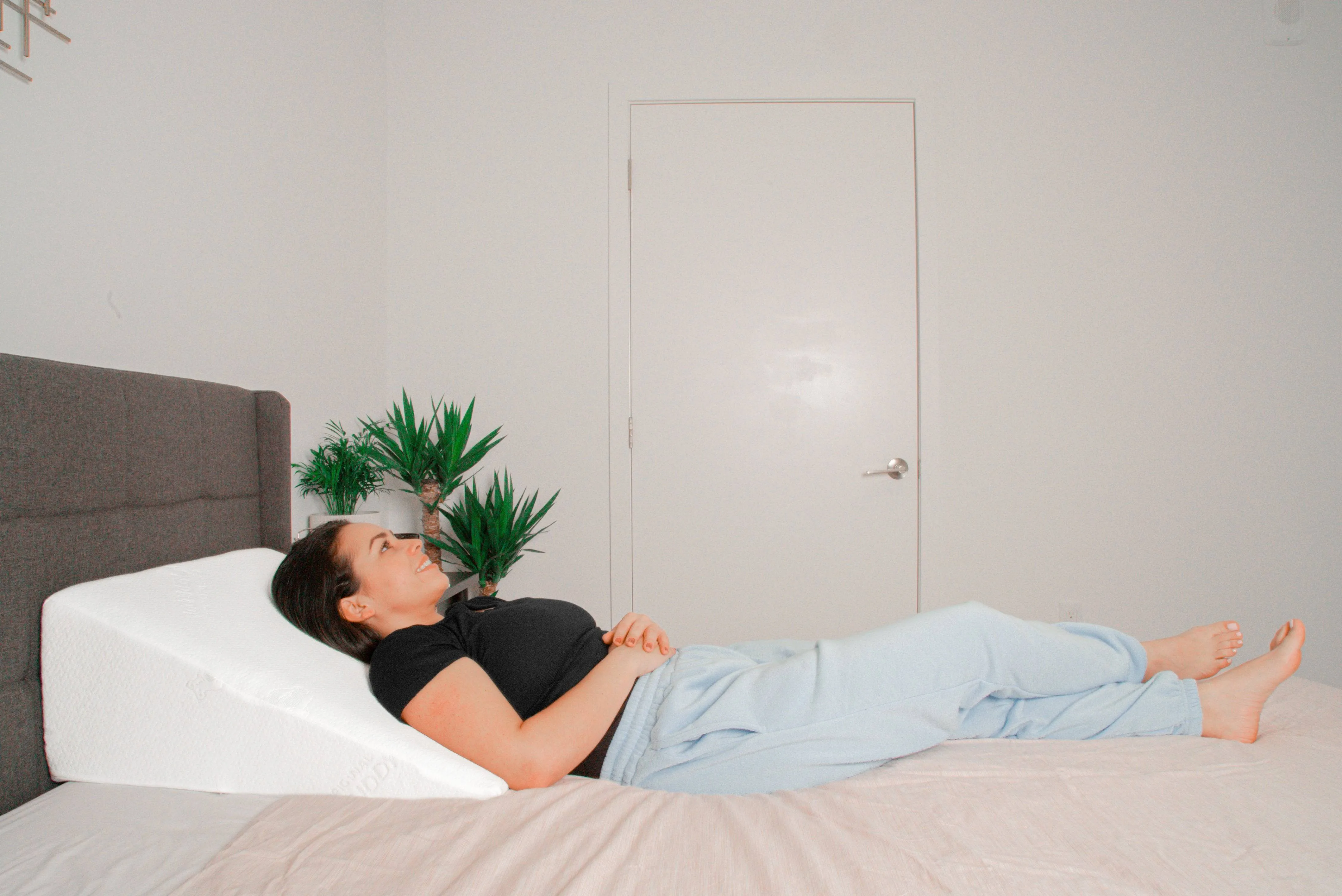 Bed Buddy Wedge Pillows
