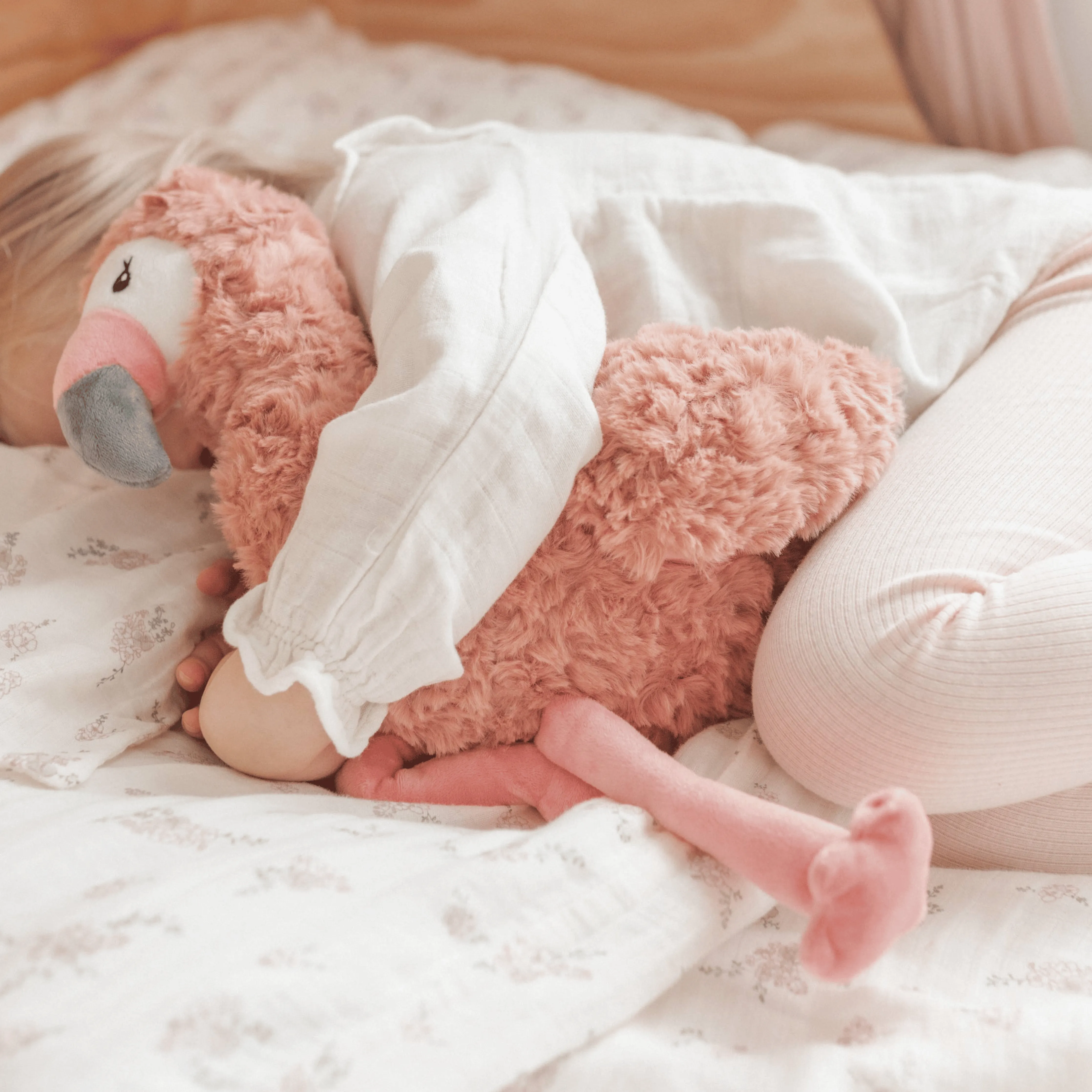 Francesca The Weighted Flamingo