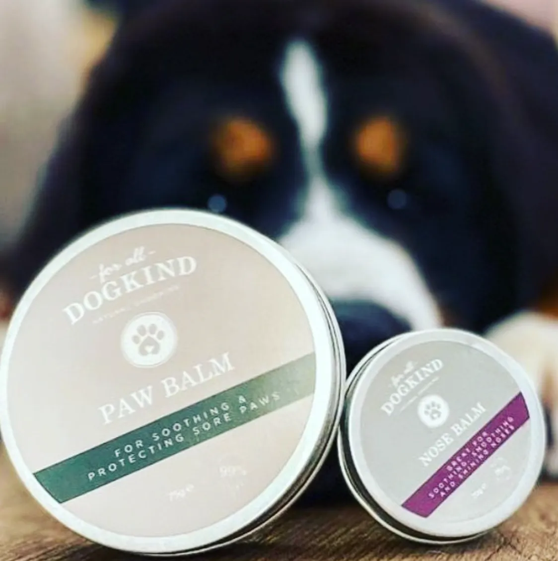 Paw Balm 75g