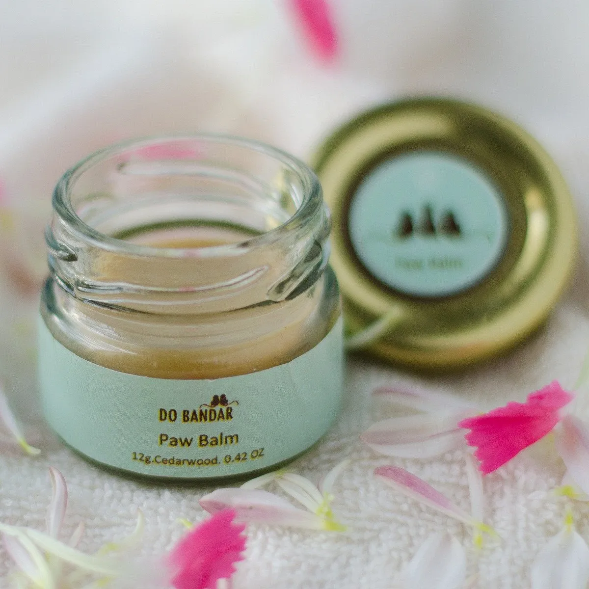 Paw Balm for Dogs