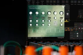 Woolren | Phase Modulation Matrix